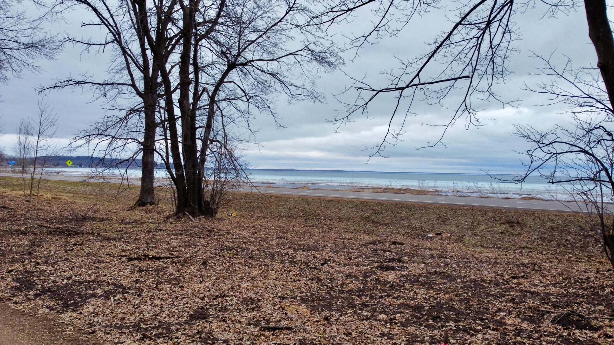 Shoreline View of Mille Lacs Lake 1.jpg
