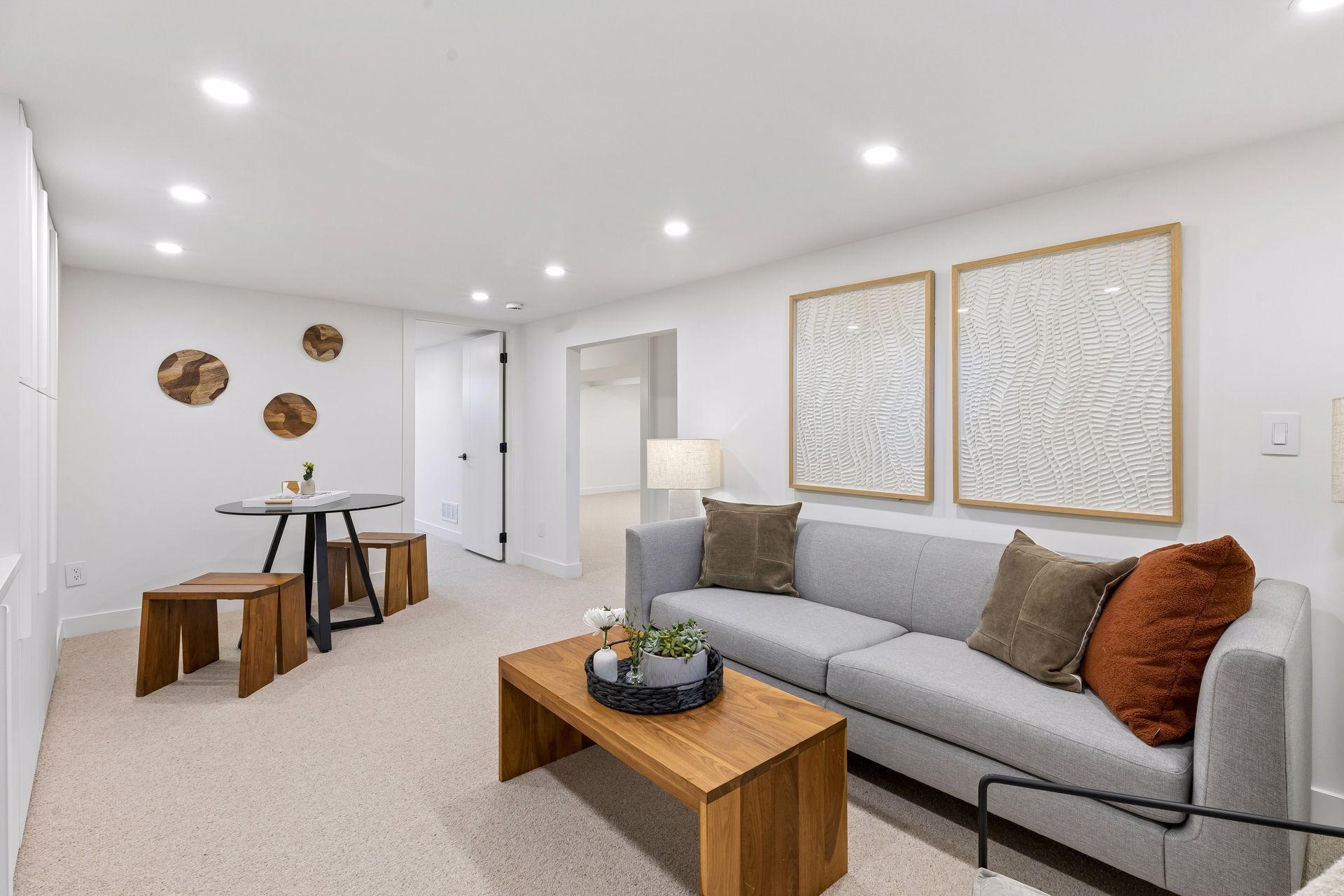 Lower Level Living Room