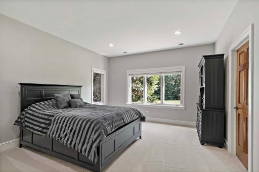 Large lower level bedroom with lots of light