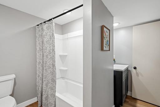 Lower Level Bathroom