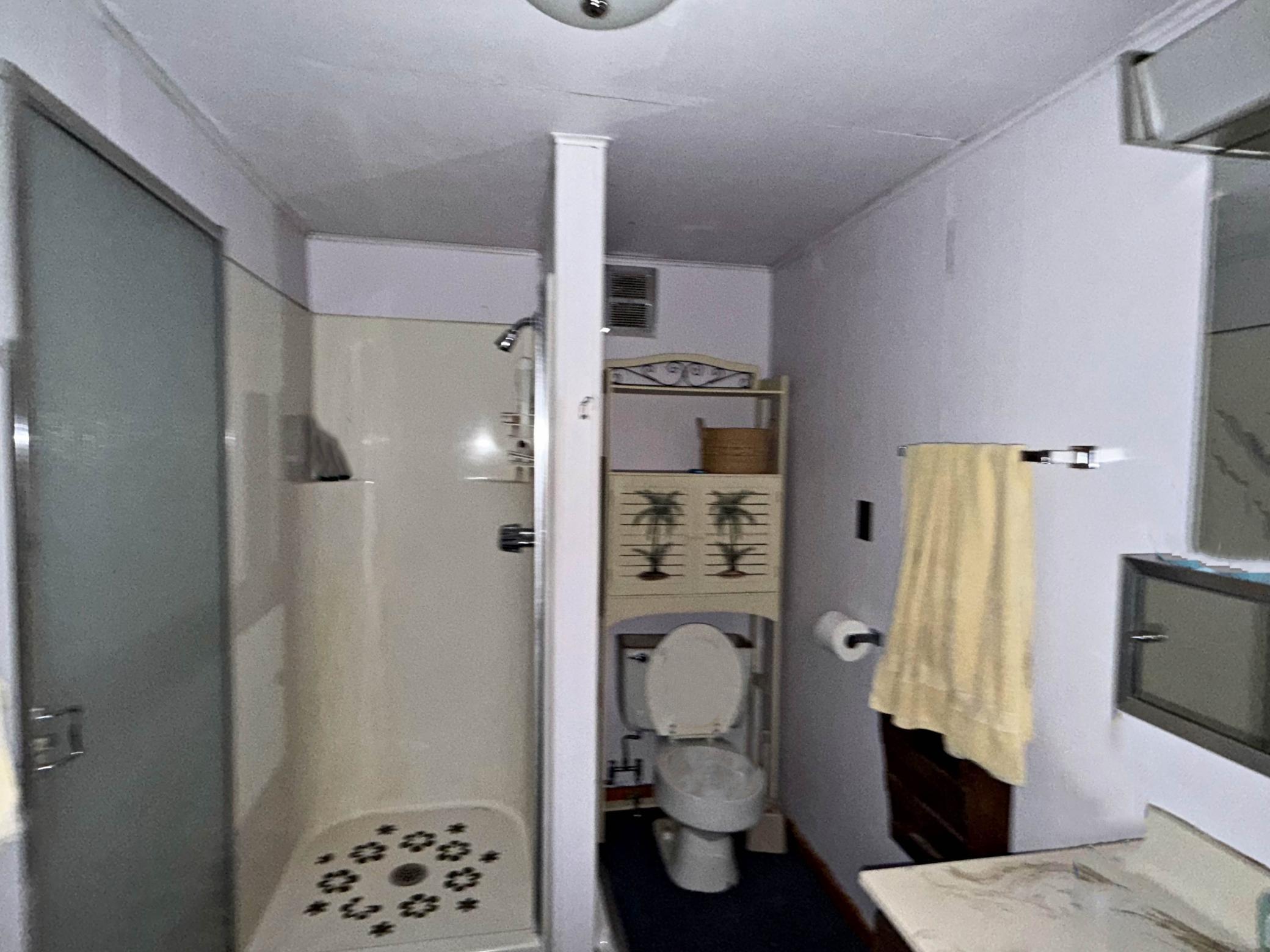 3/4 Bathroom main house.jpg