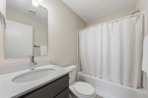 Lower Level Bathroom.