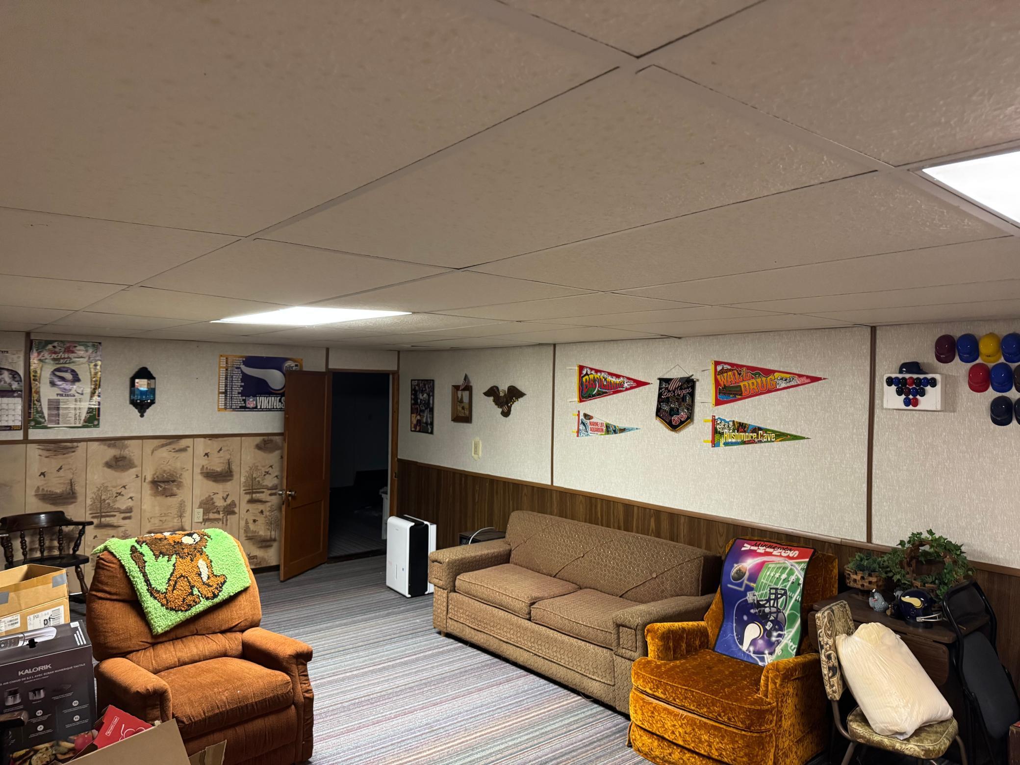 Basement family room