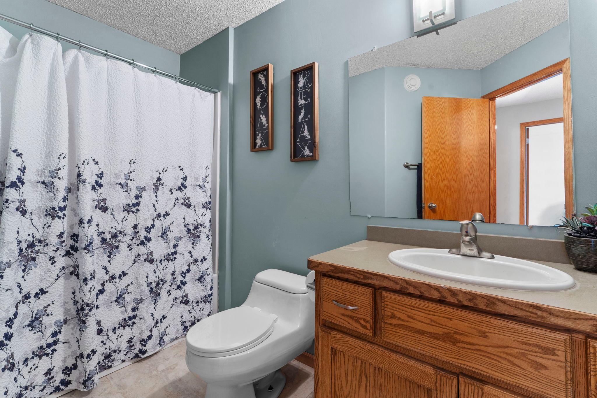 Updated lower level bathroom