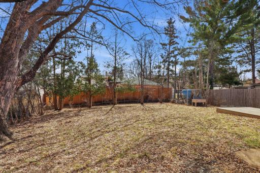 39-web-or-mls-2238_Berland_Pl_Saint_Paul_MN_043.jpg