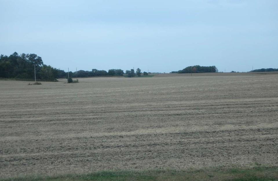 122nd St Field 2.jpg