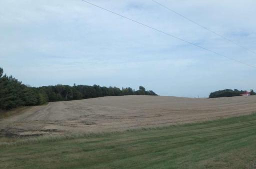 TBD 122nd Street, Norwood Young America, MN 55368