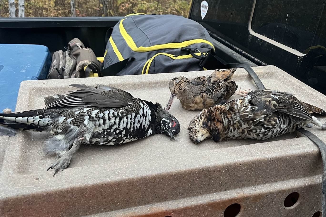 38-Jensen-160-Grouse-1.jpg