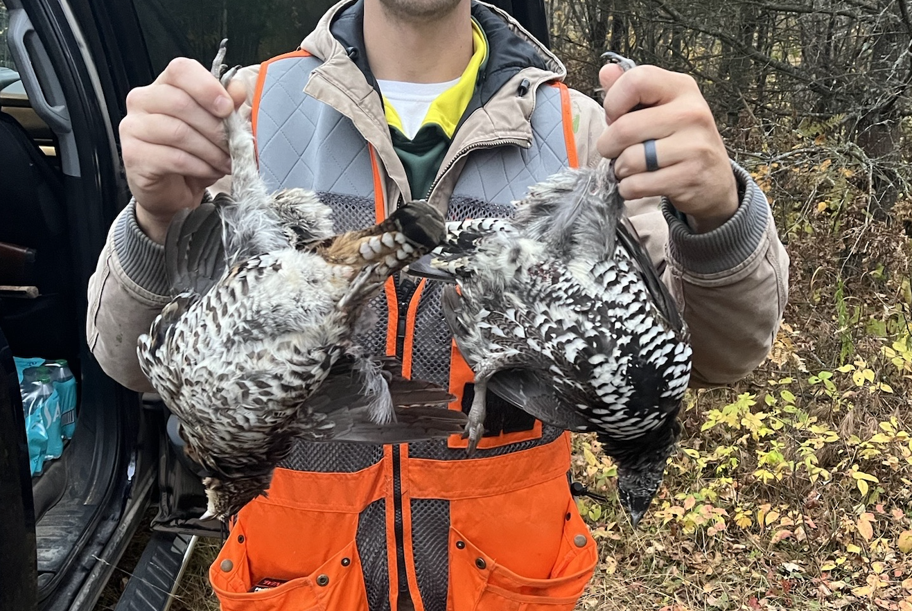 39-Jensen-160-Grouse-2.jpg