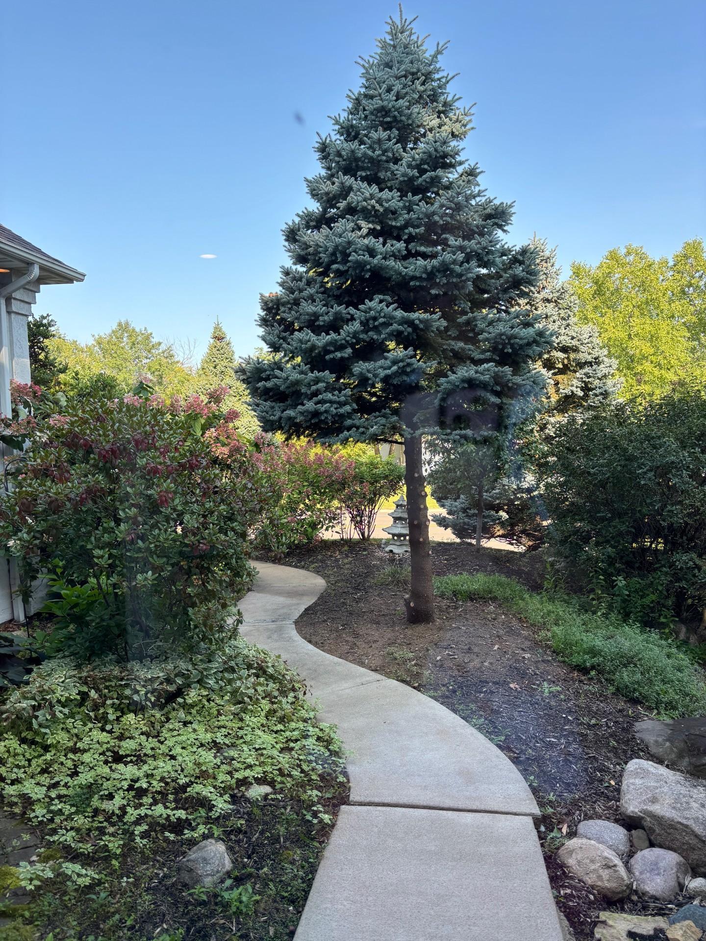 Summer walkway to the front door.