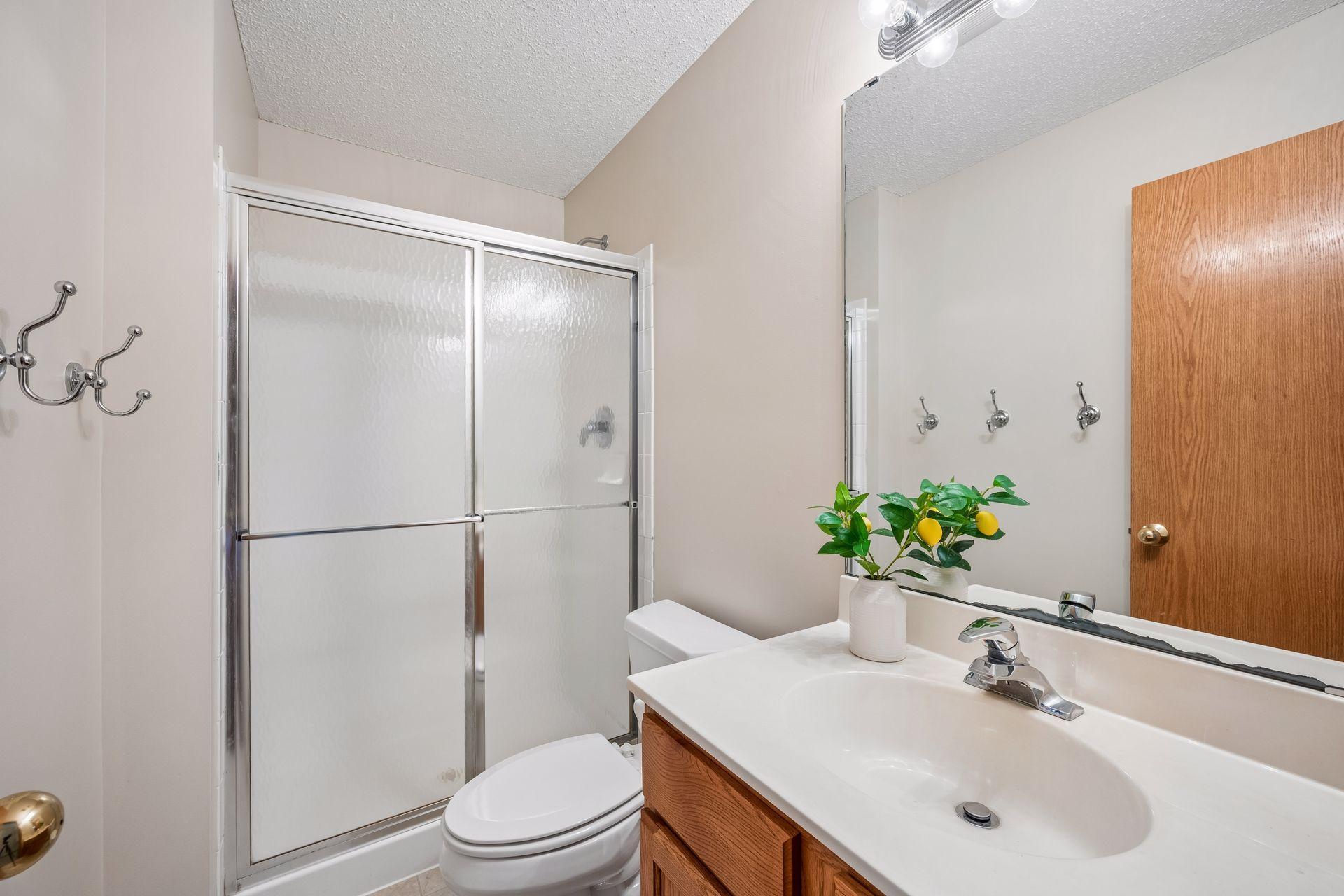 Lower Level Bathroom. .jpg