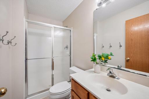 Lower Level Bathroom. .jpg