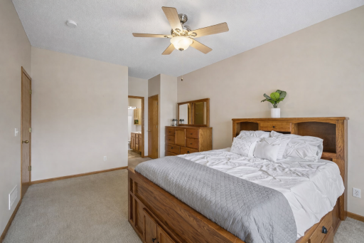 Owners Suite with a view to the private Owners Bath, huge walk in closet plus a linen closet!