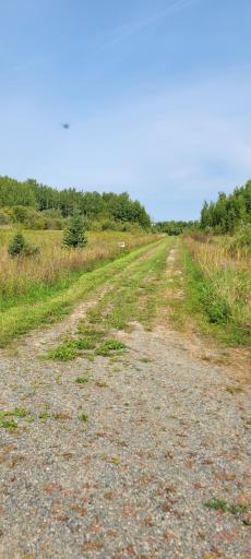 shared Rainy River access road