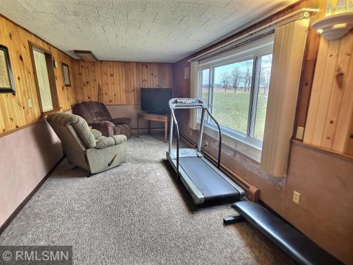 The lower-level family room is an ideal spot to relax in peace. Another wonderful window brings the outside in and extra light throughout this warm space.