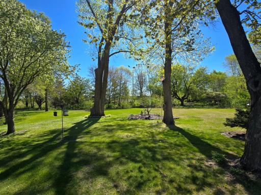 Soon the trees will be covered in green, resulting in an even more private lot.
