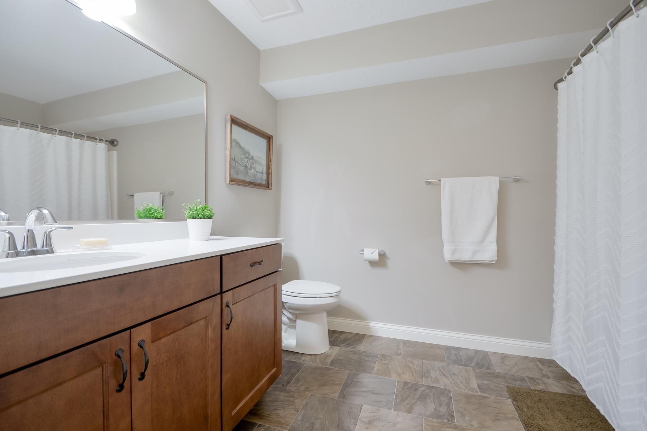 Lower level full bathroom