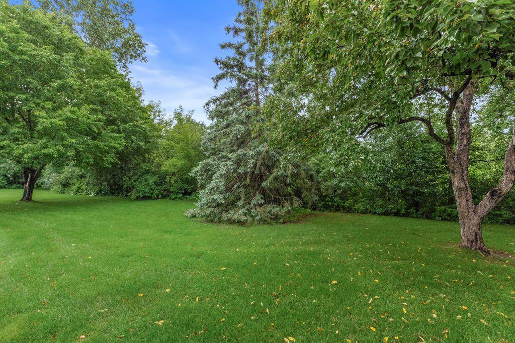 Exterior rear grounds and patio