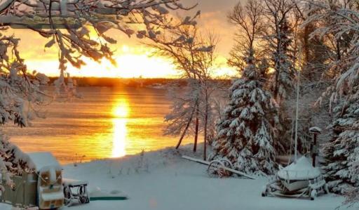 33685 N Cotton Lake Road, Rochert, MN 56578