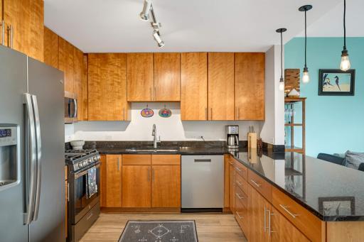 929 Portland Avenue, 309, Minneapolis, MN 55404