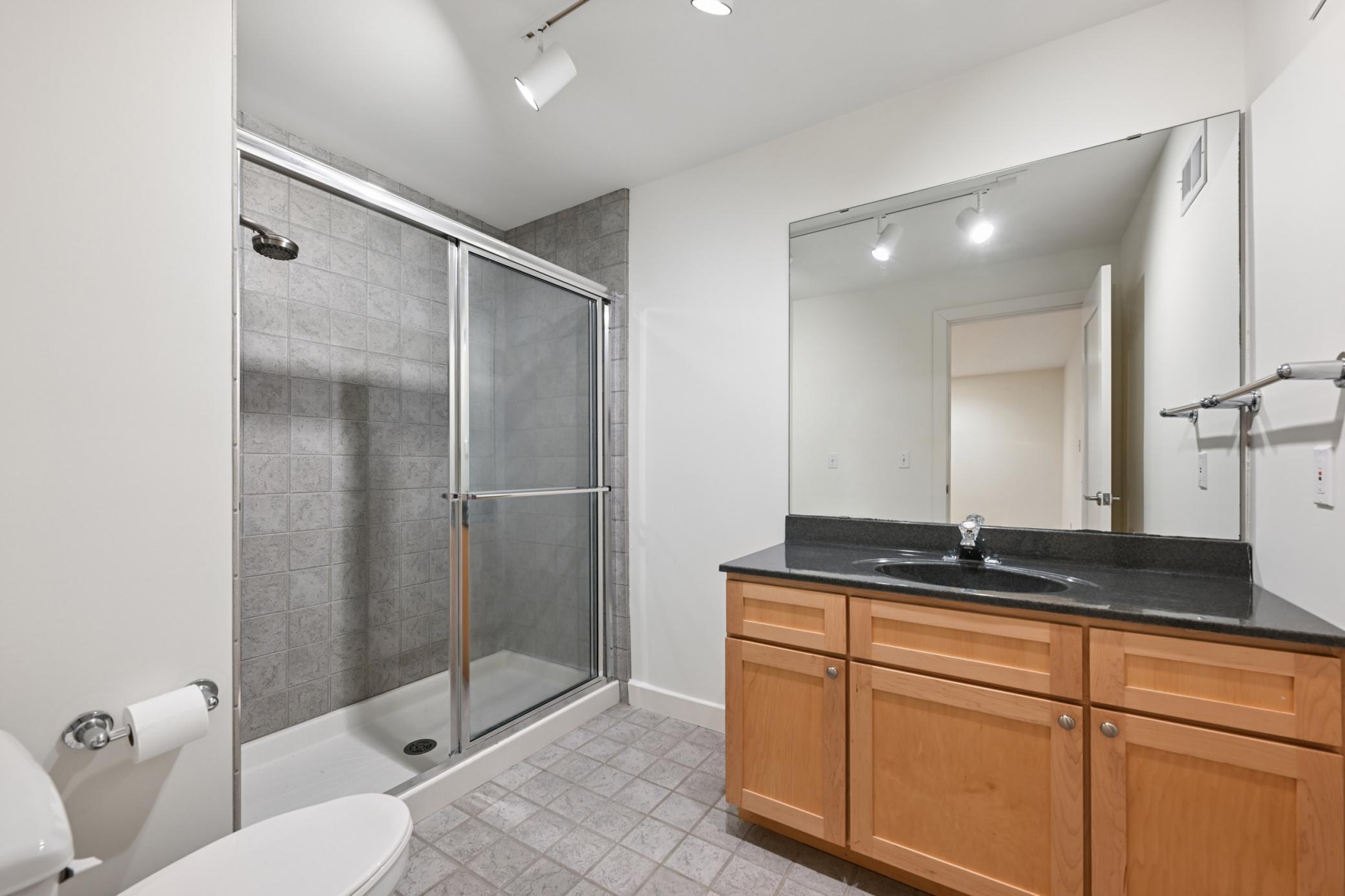 Lower Level bath