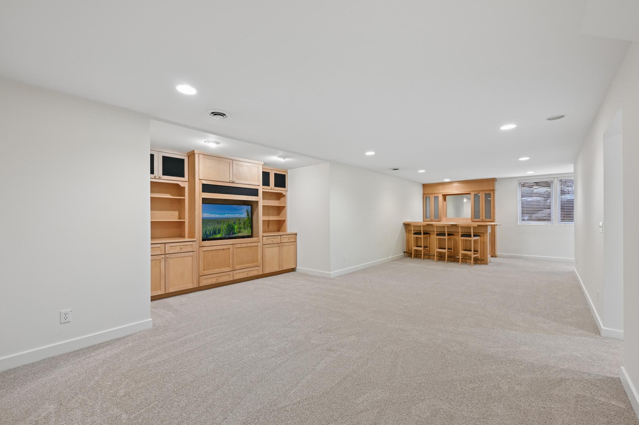 Lower Level entertainment space
