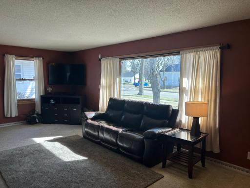 306 E 2nd Street, Minneota, MN 56264