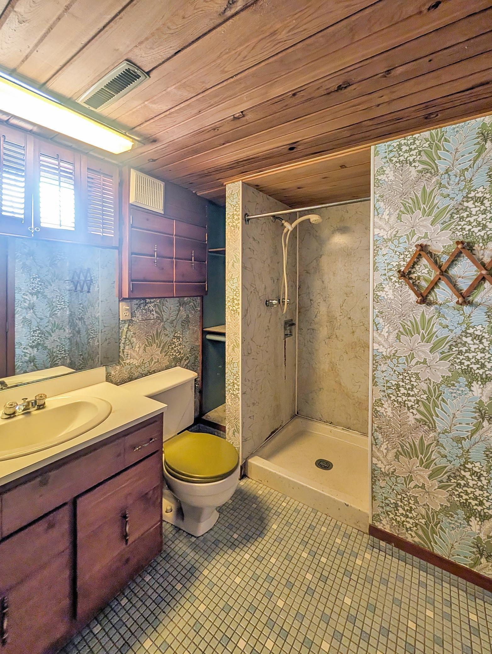 Basement bathroom with sauna to the left.