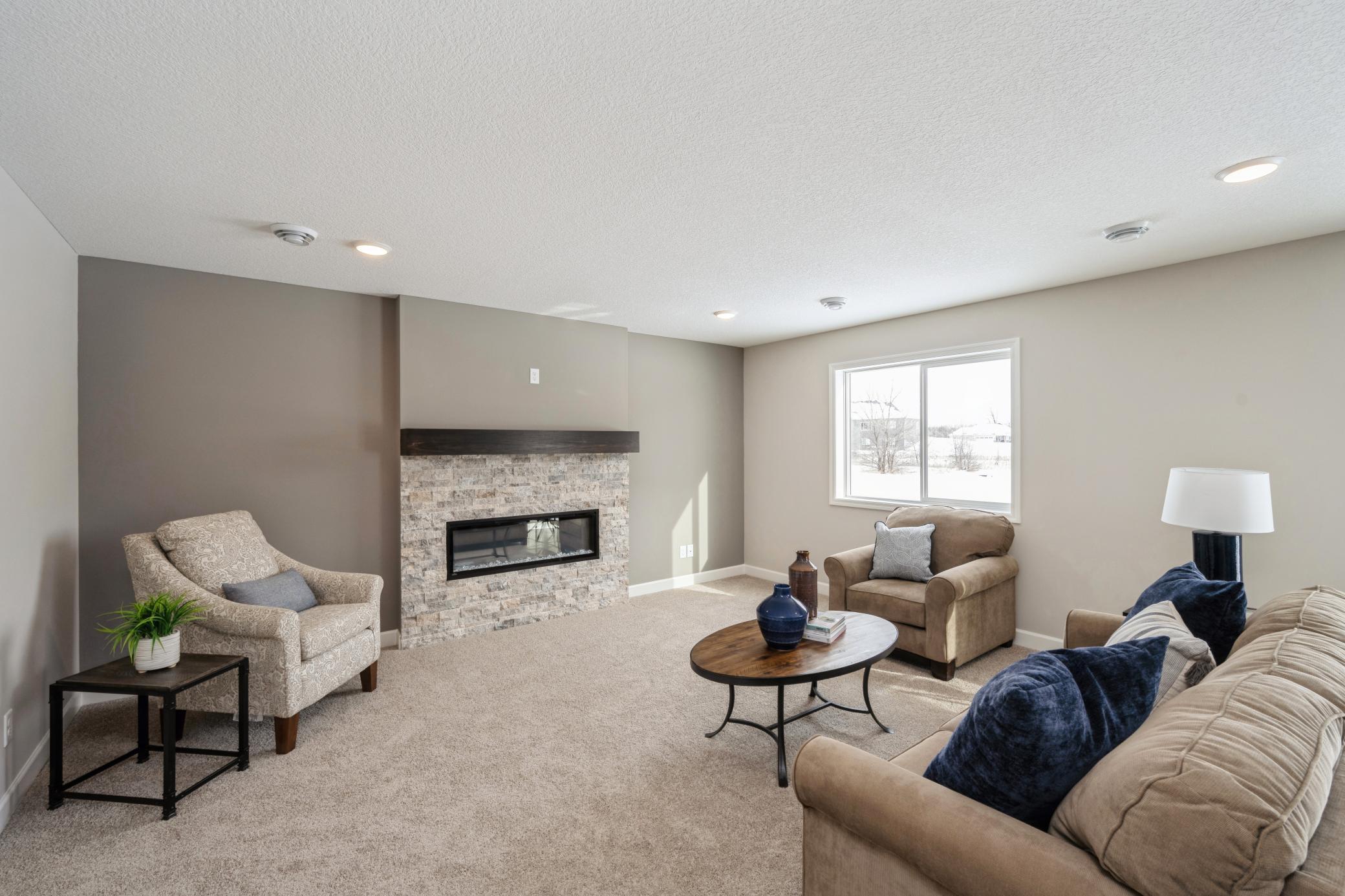 Lower Level Living .jpg