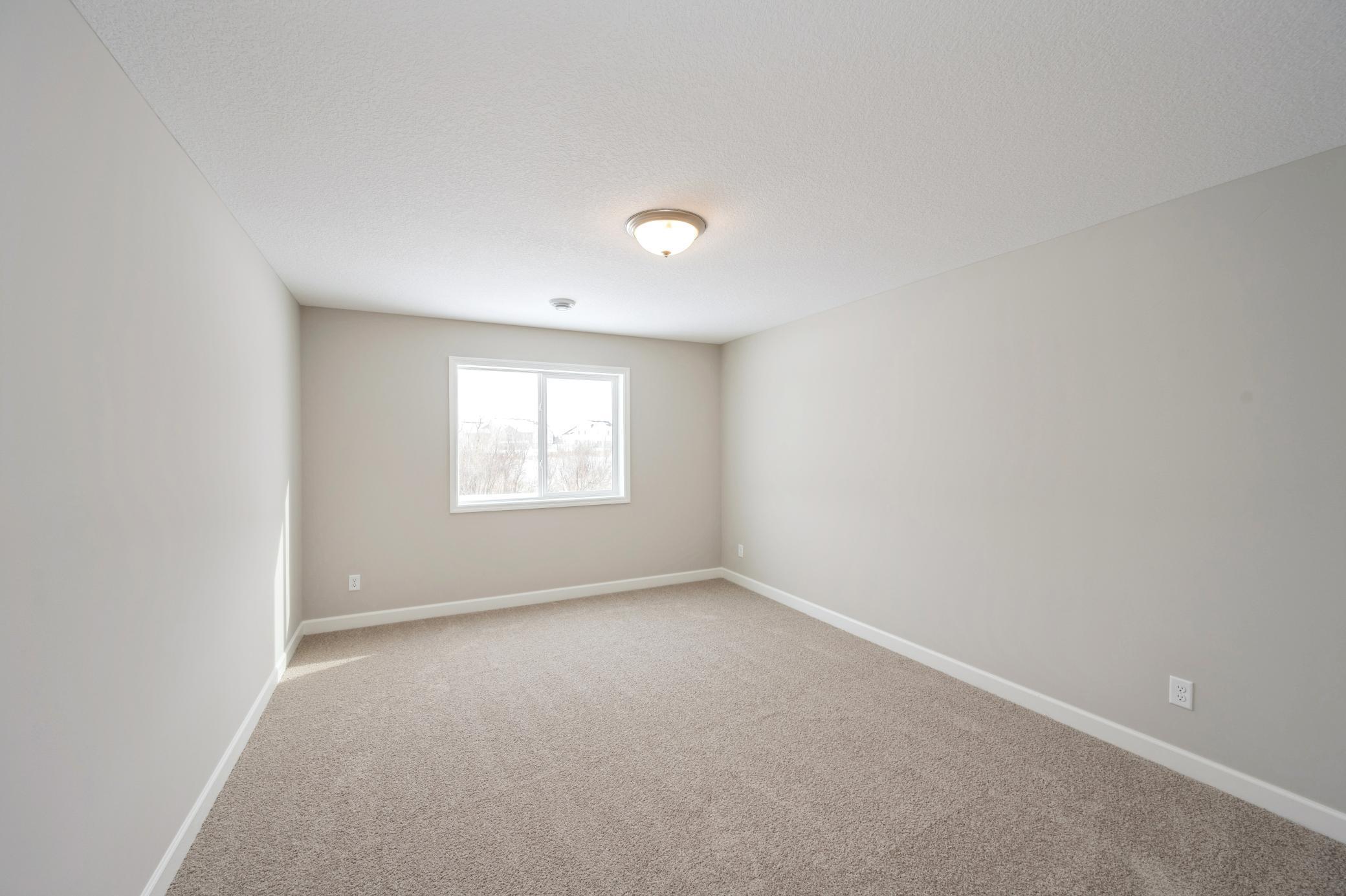 Lower Level Bedroom .jpg