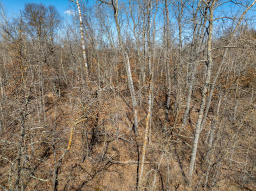 L7B1 TBD Ski Chalet Drive, Breezy Point, MN 56472
