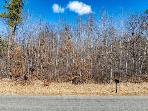 L7B1 TBD Ski Chalet Drive, Breezy Point, MN 56472