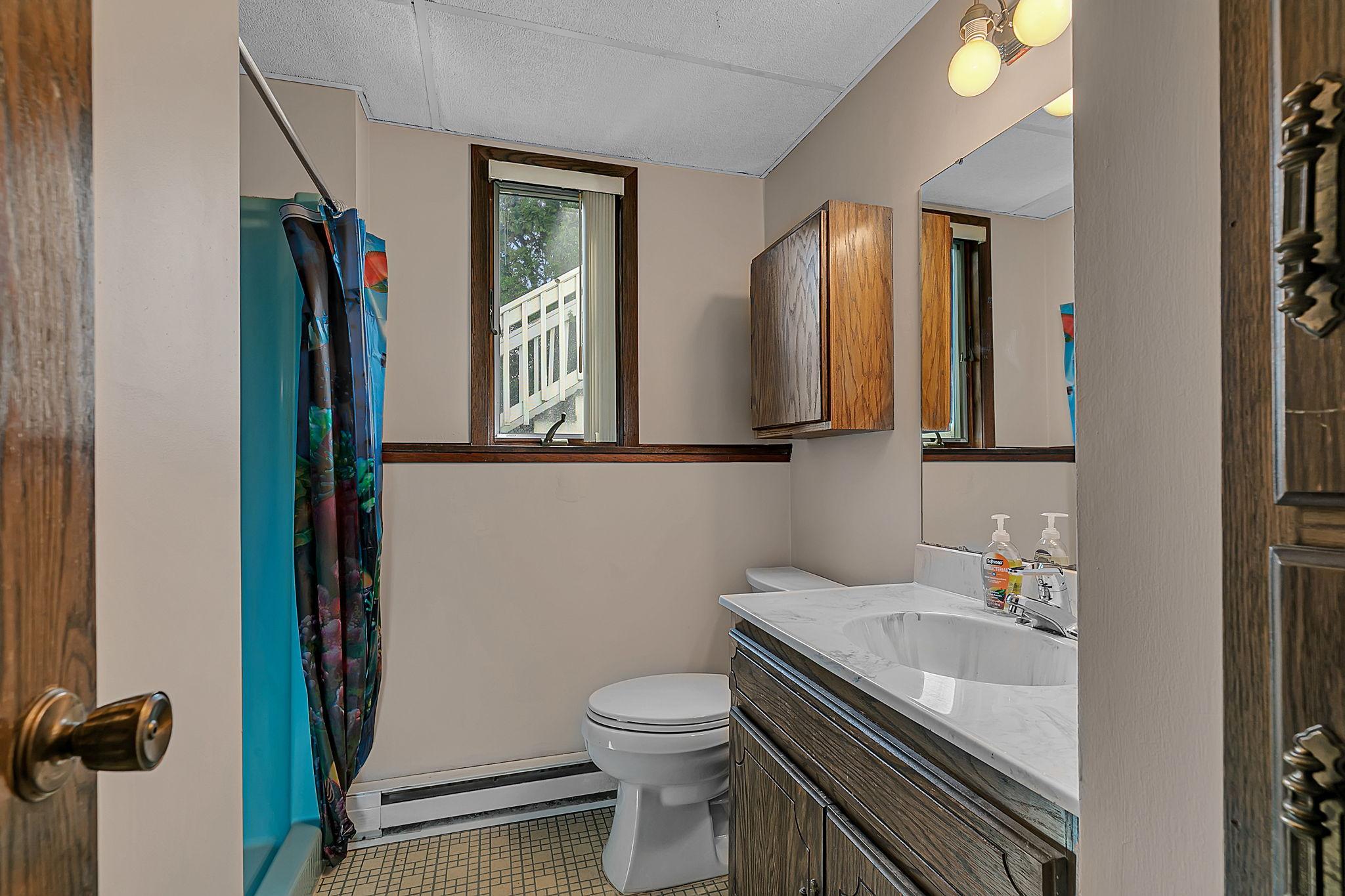 Lower level bathroom