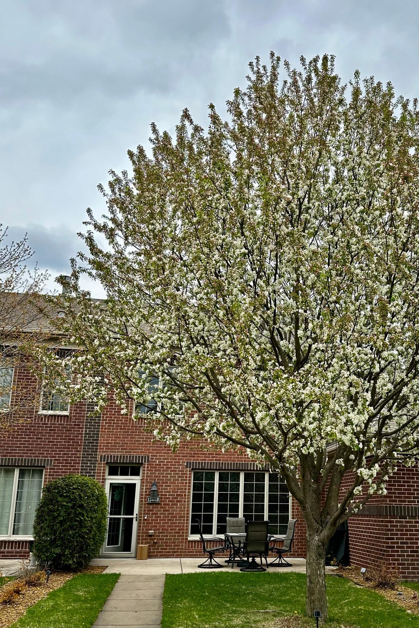 What’s it like walking through The Lakes of Blaine? Bright seasonal blooms, maintained green space, and peaceful surroundings create a neighborhood buyers consistently look for.