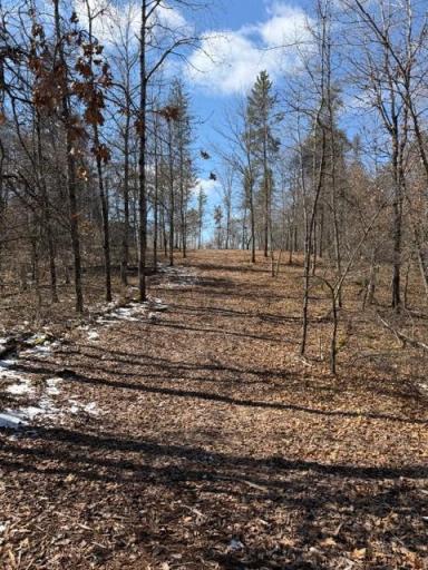 3713 Bay Drive, Webb Lake, WI 54830