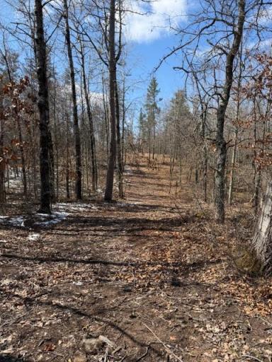 3713 Bay Drive, Webb Lake, WI 54830