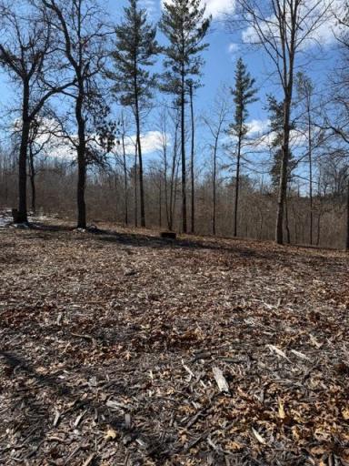 3713 Bay Drive, Webb Lake, WI 54830