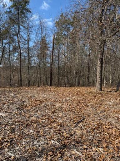 3713 Bay Drive, Webb Lake, WI 54830