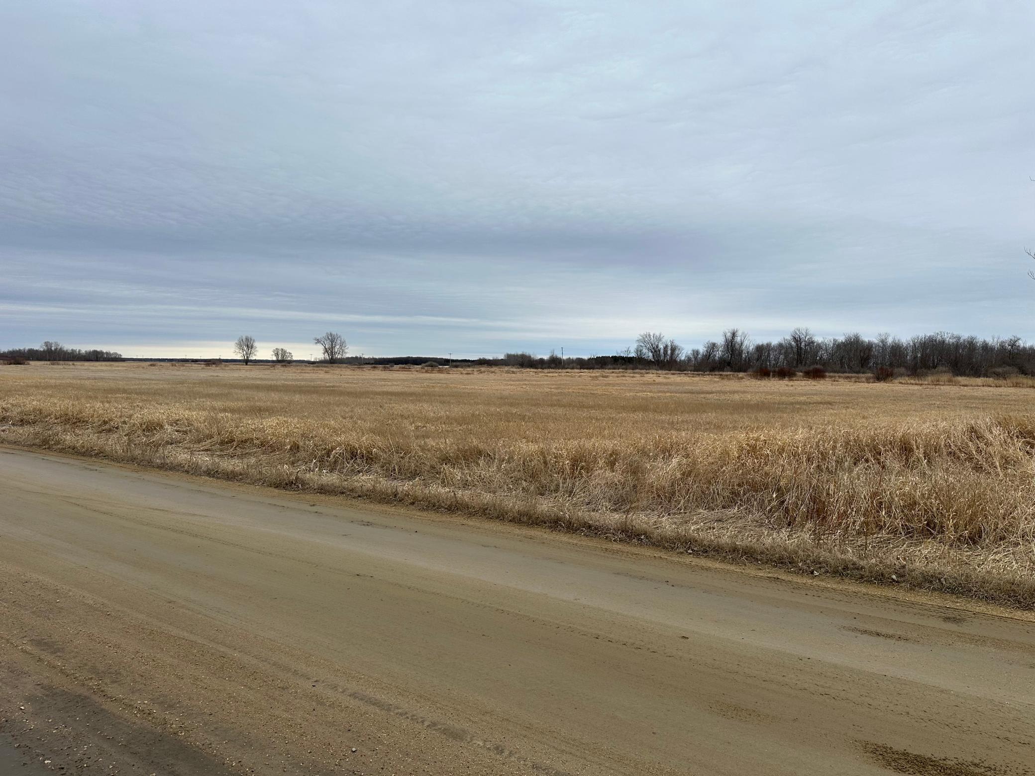 TBD State Hwy 11, Greenbush, MN 56726