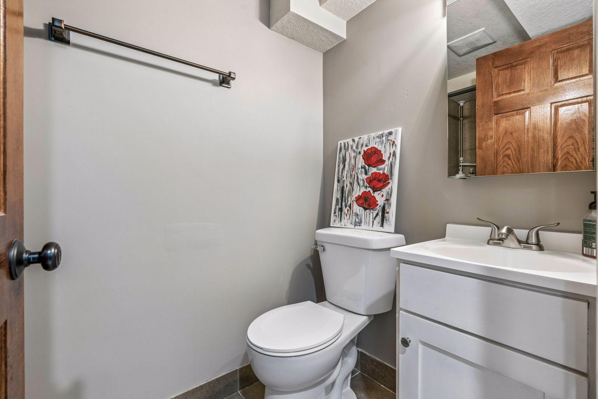 Lower Level Bathroom