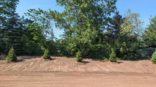 (Photo is of the actual backyard in progress.)