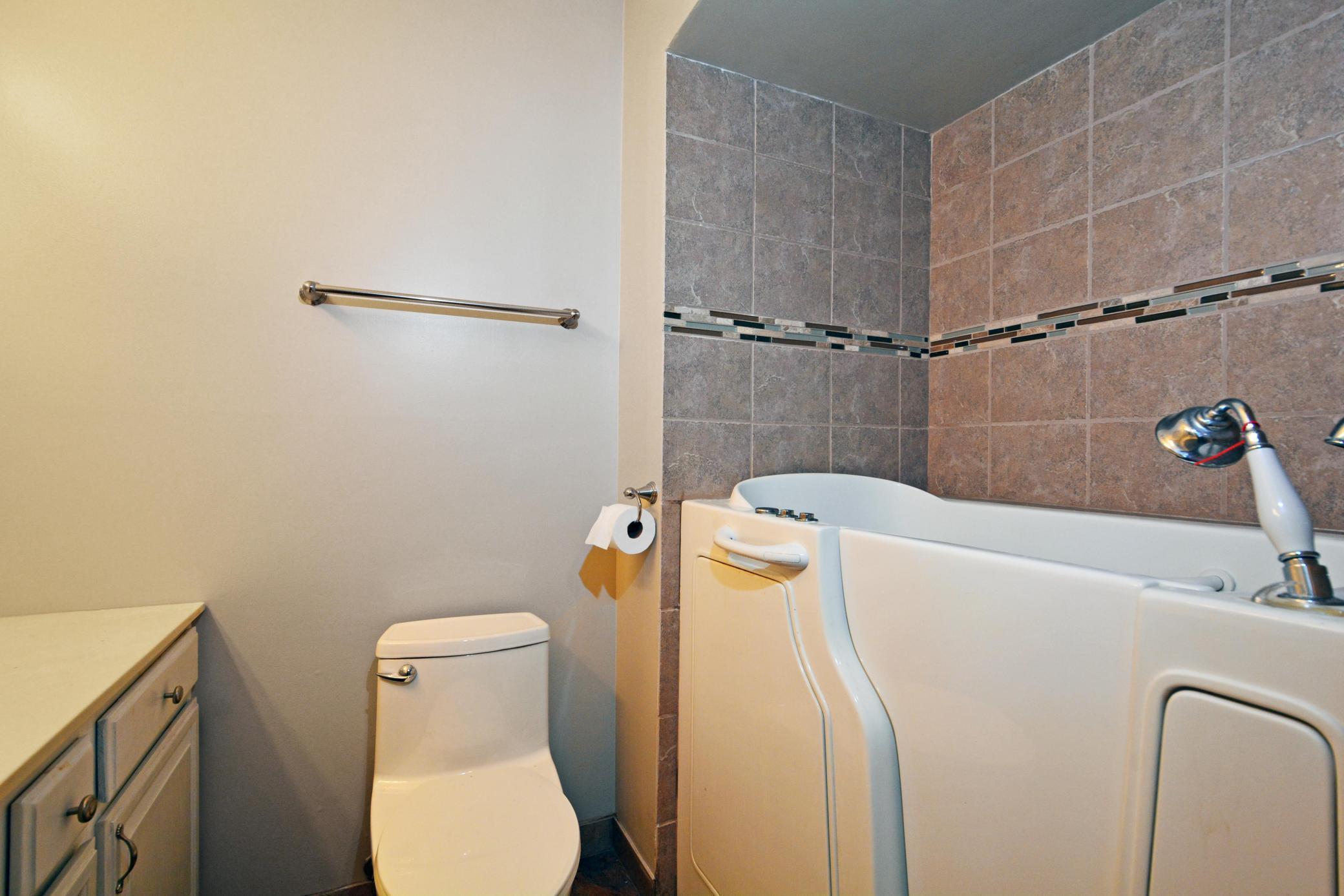 walk-in bath with shower wand