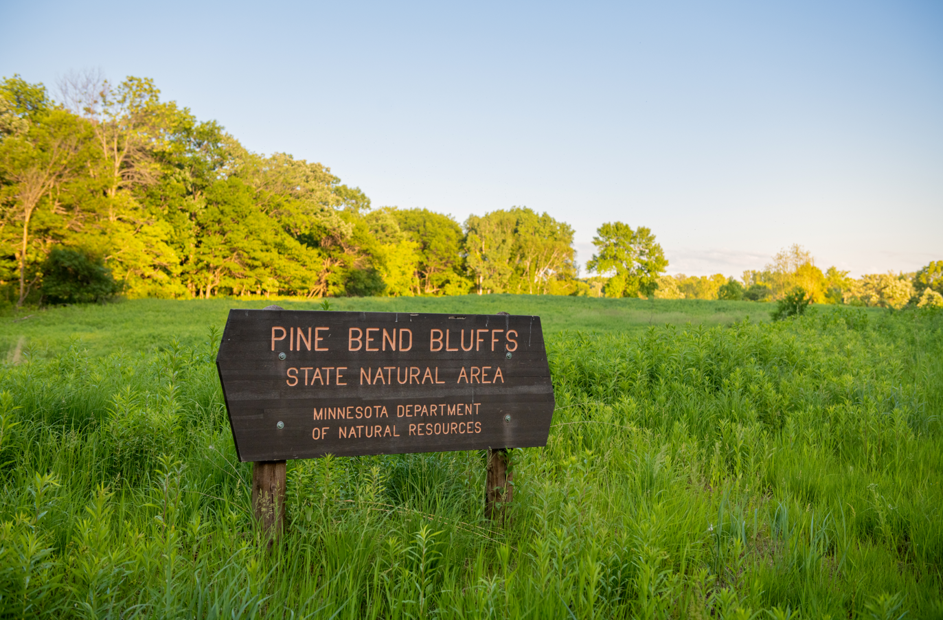 There are over 20 parks in Rosemount. With play areas for the kids, natural hiking trails, horse trails and miles of mountain bike trails.