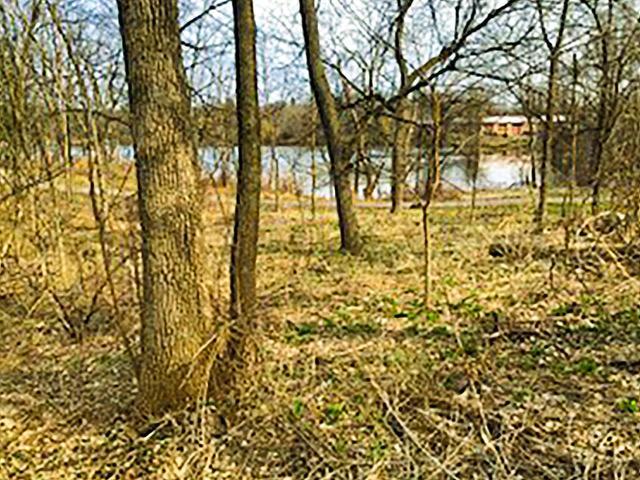 Easy walk to Willow Pond and the walking paths