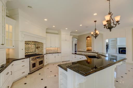 The professional kitchen is a true chefâs space, featuring Sub-Zero refrigeration, Dacor ovens, dual dishwashing drawers, warming drawers, and additional integrated refrigerator and freezer drawers, all seamlessly concealed within custom cabinetry.