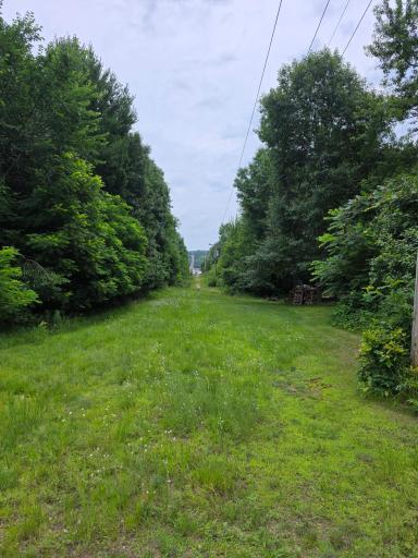 TBD Folsom Street, Shafer, MN 55074