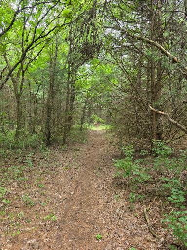 TBD Folsom Street, Shafer, MN 55074