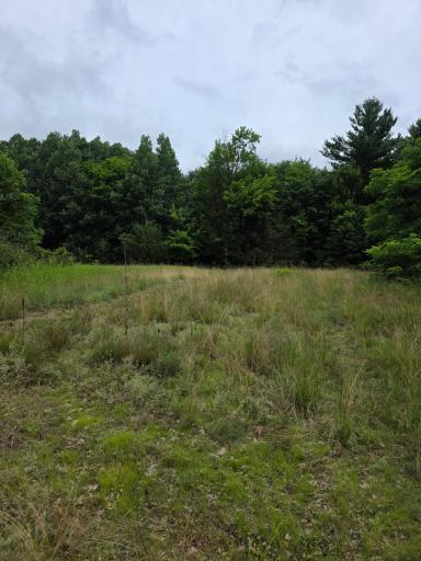 TBD Folsom Street, Shafer, MN 55074