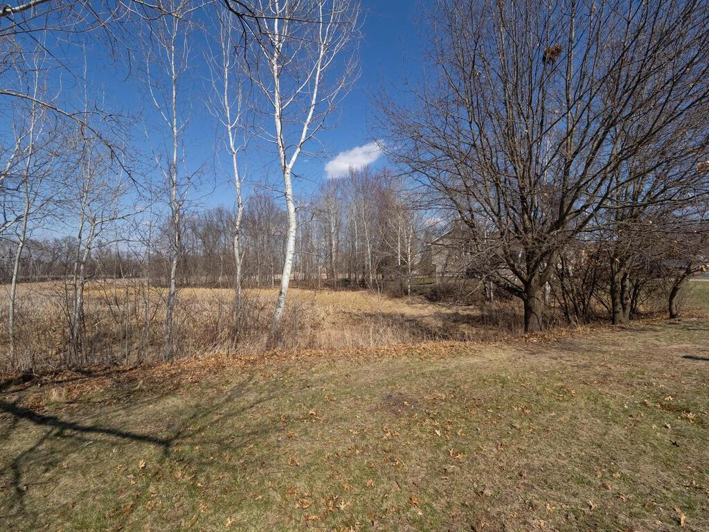 2751 233rd Ln NW Saint Francis MN 55070 USA-009-023-Side Yard-MLS_Size.jpg