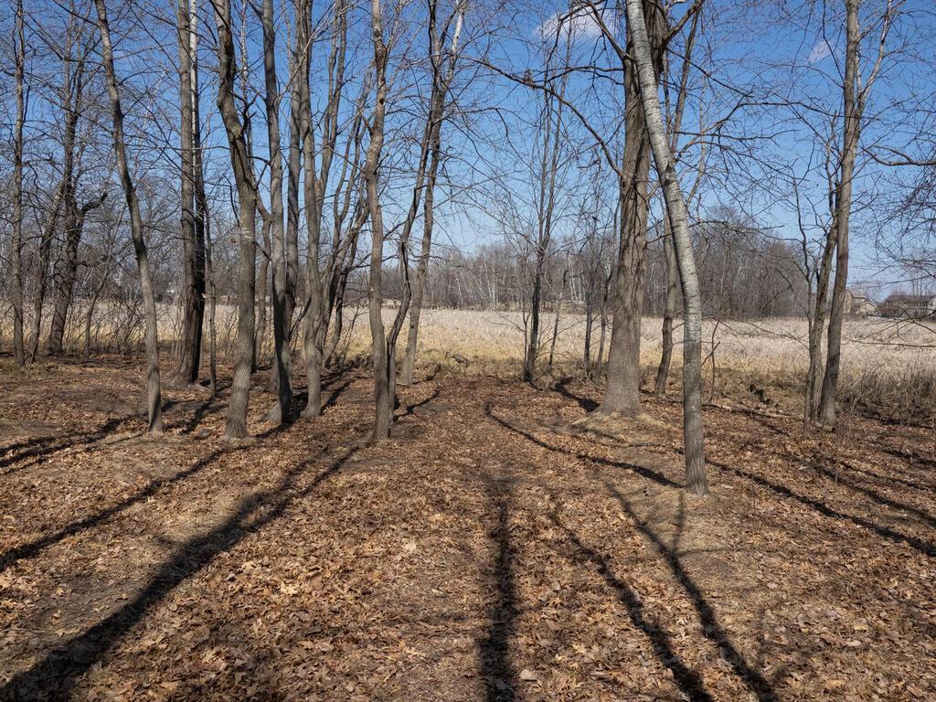 2751 233rd Ln NW Saint Francis MN 55070 USA-007-018-Back Yard-MLS_Size.jpg